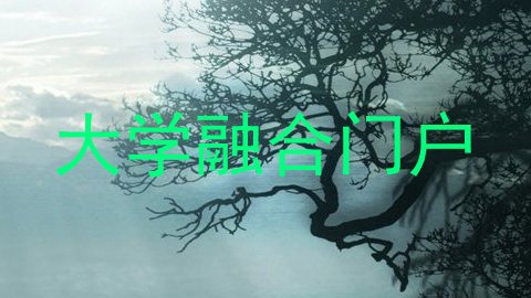大学融合门户
