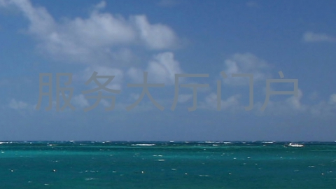 服务大厅门户