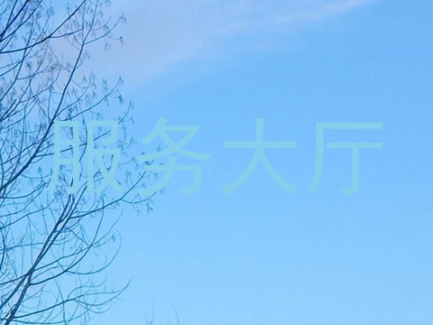 服务大厅