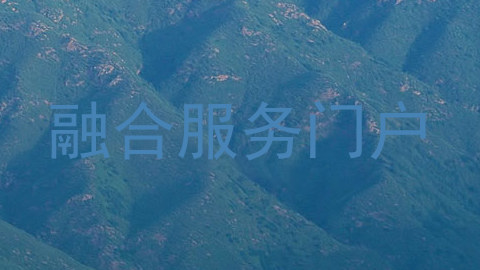 融合服务门户