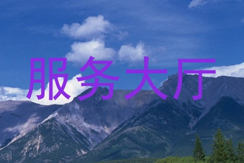 服务大厅