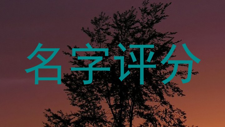 名字评分