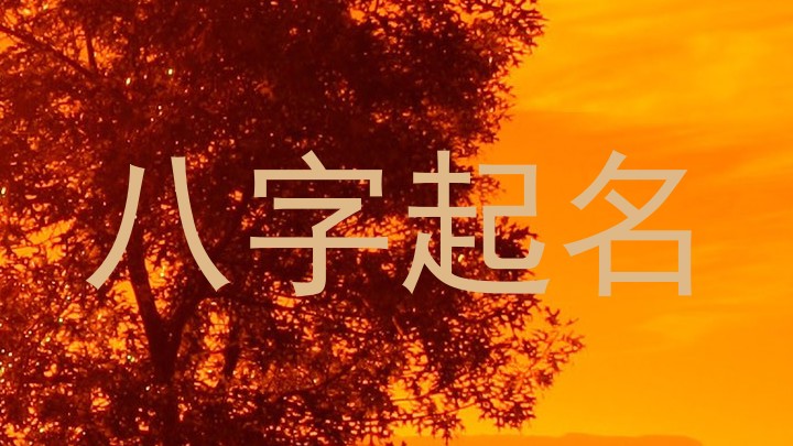 八字起名