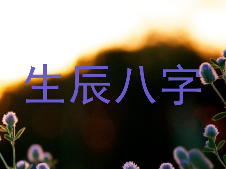 生辰八字