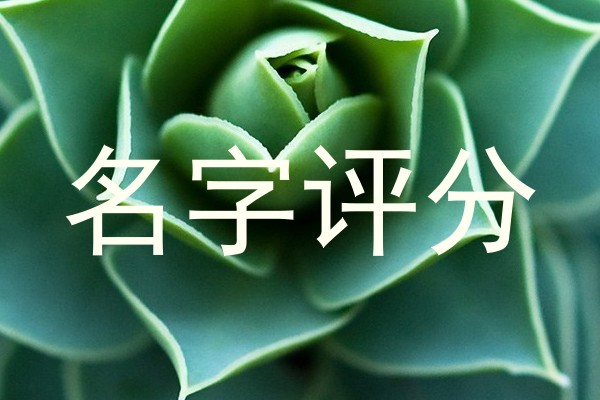 名字评分