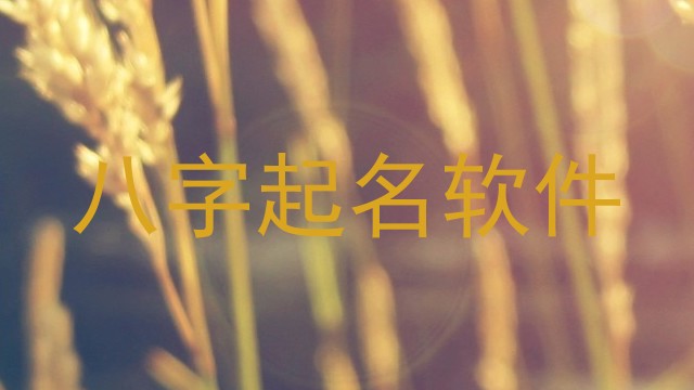 八字起名软件