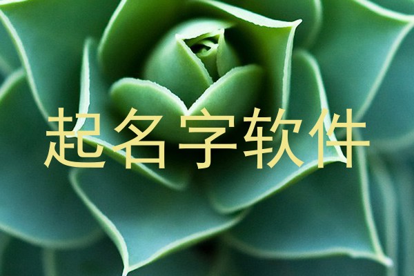 起名字软件