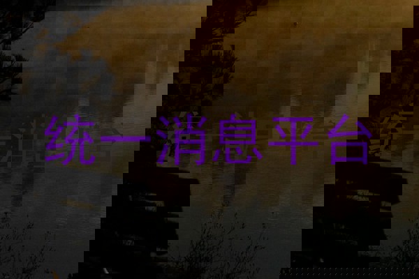 统一消息平台