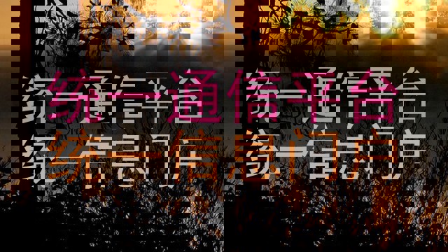 统一通信平台|统一信息门户