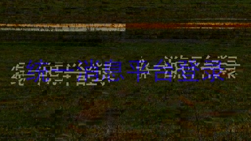 统一消息平台登录