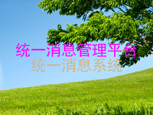 统一消息管理平台|统一消息系统