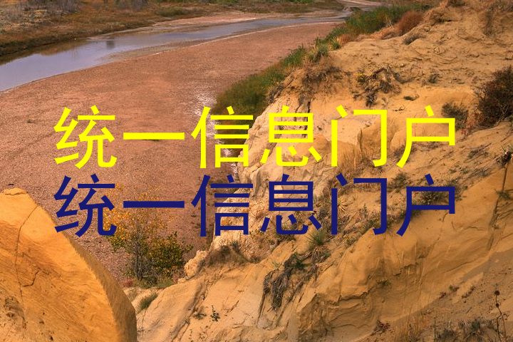 统一信息门户|统一信息门户