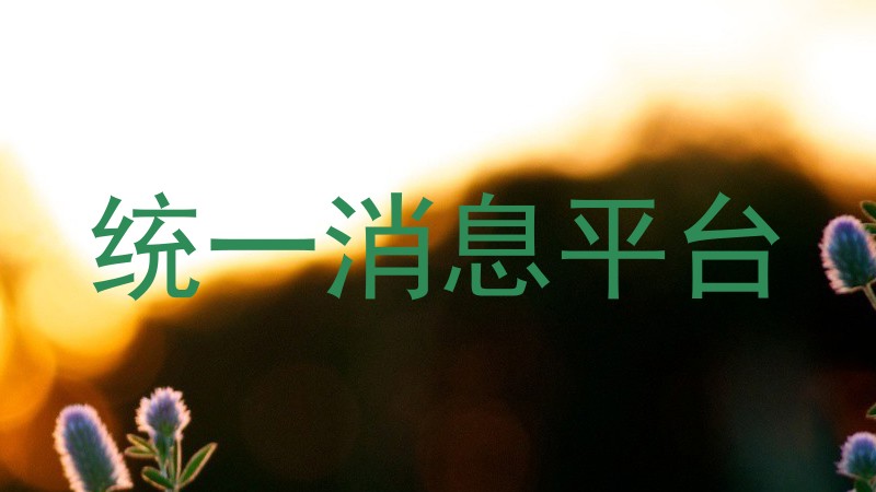统一消息管理平台