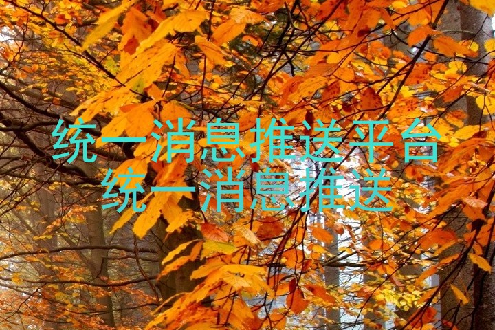 统一消息推送平台