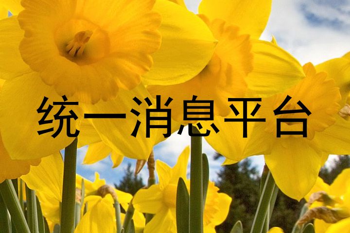 统一消息平台