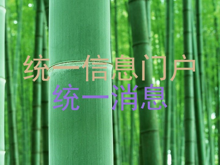 统一信息门户|统一消息