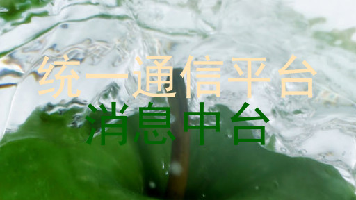 统一通信平台|消息中台