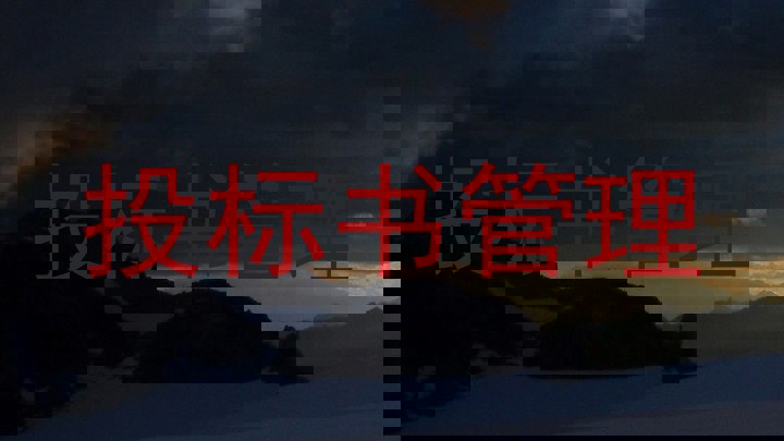 投标书管理