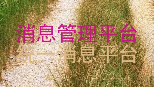 消息管理平台|统一消息平台