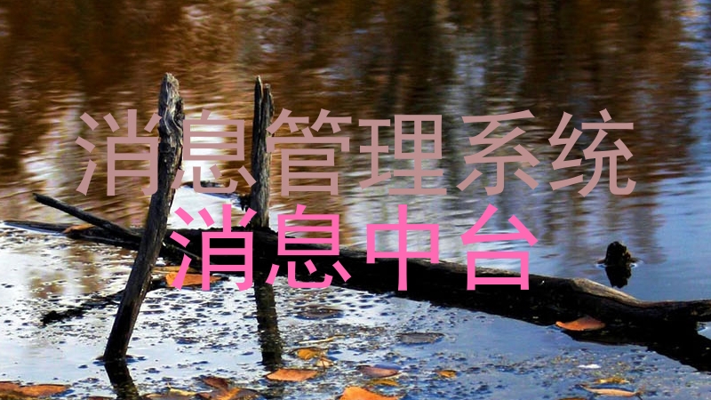 消息管理系统|消息中台