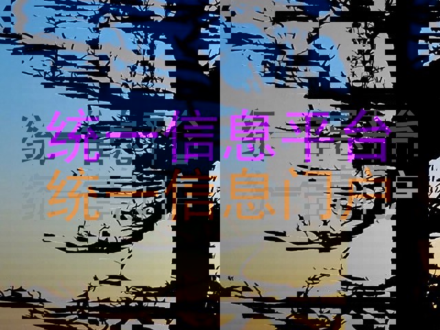 统一信息平台|统一信息门户