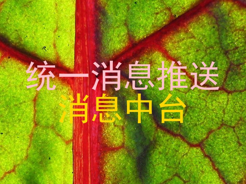 统一消息推送|消息中台