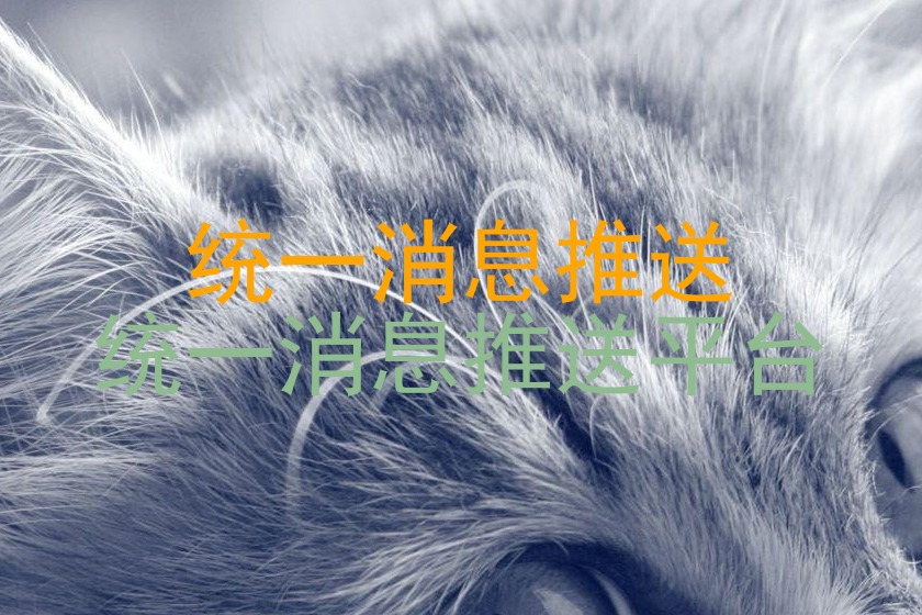 统一消息推送|统一消息推送平台