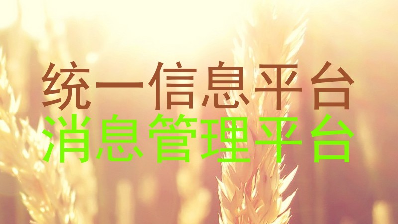 统一信息平台
