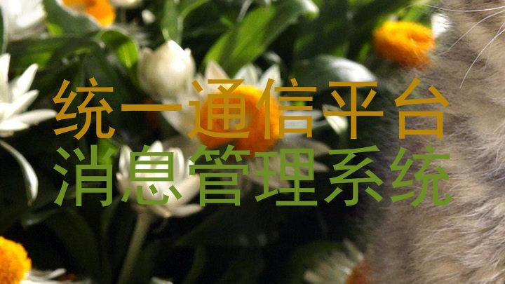 统一通信平台|消息管理系统