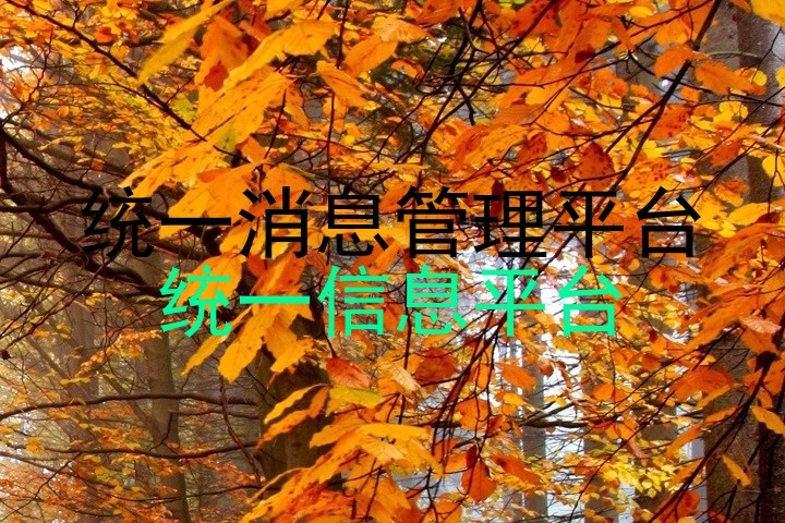 统一消息管理平台