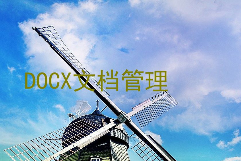DOCX文档管理