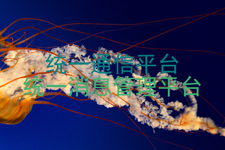 统一通信平台|统一消息管理平台