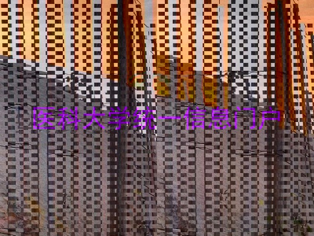 医科大学统一信息门户