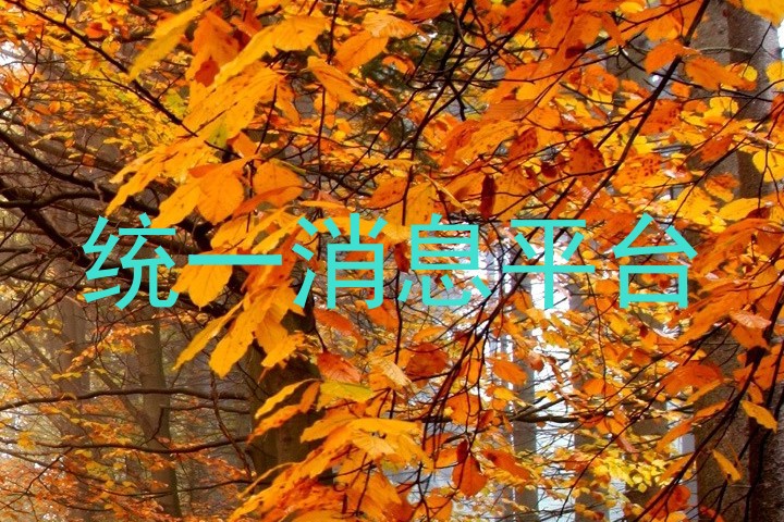 统一消息平台