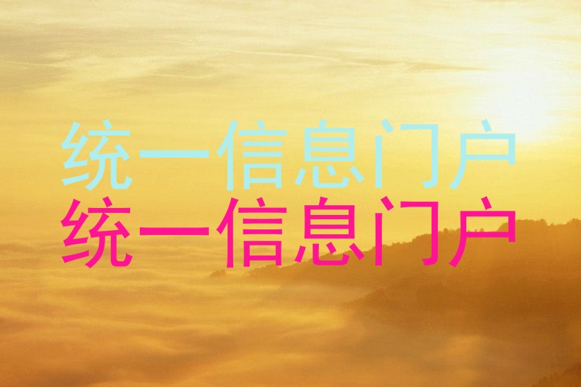统一信息门户