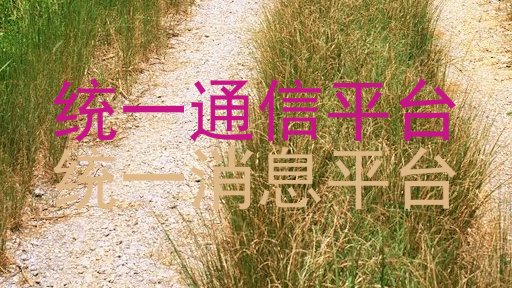 统一通信平台|统一消息平台