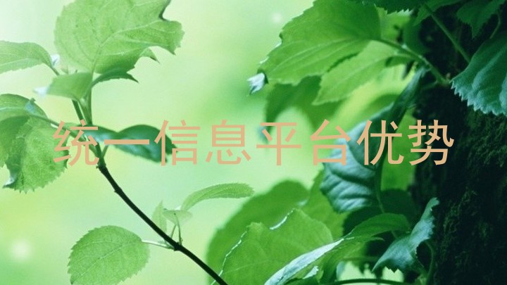 统一信息平台优势