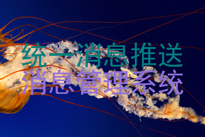 统一消息推送|消息管理系统