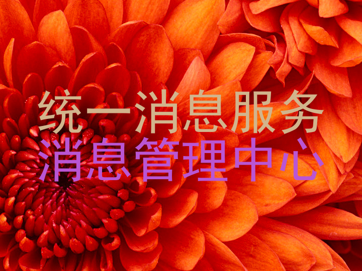 统一消息服务|消息管理中心