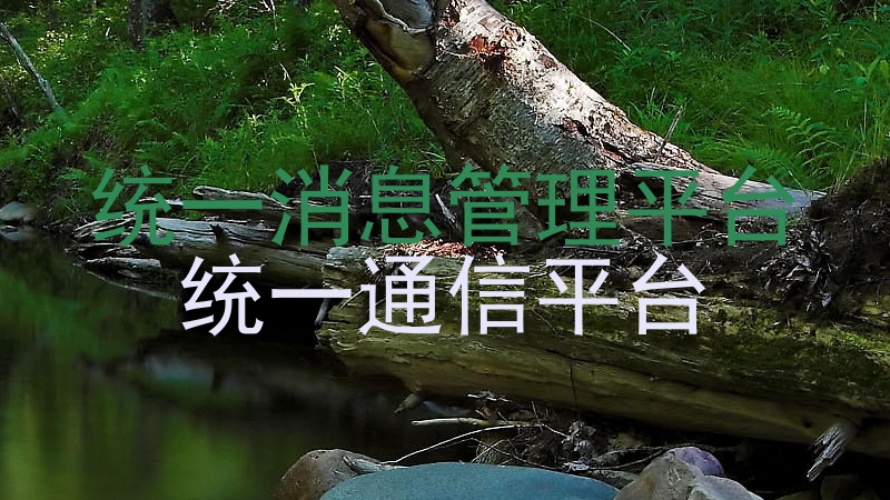 统一消息管理平台|统一通信平台