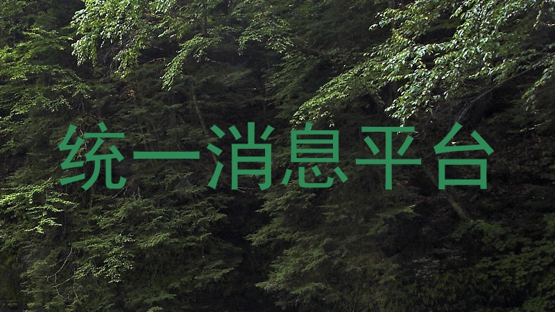 统一消息平台