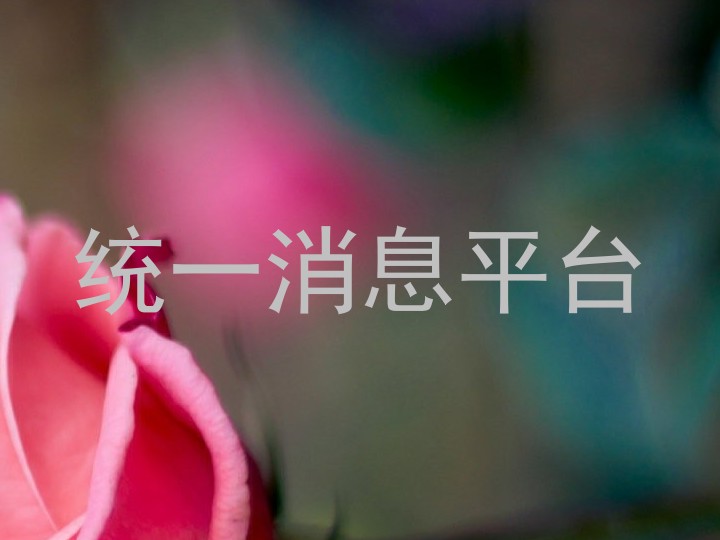 统一消息系统应用