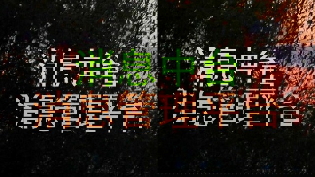 消息中台|消息管理平台