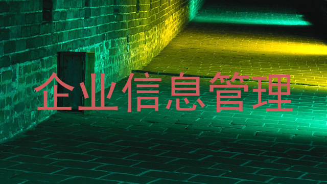 企业信息管理
