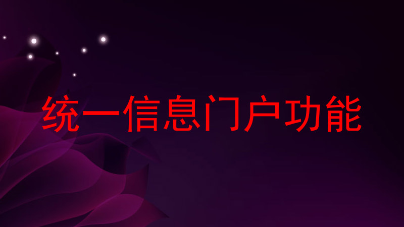 统一信息门户功能