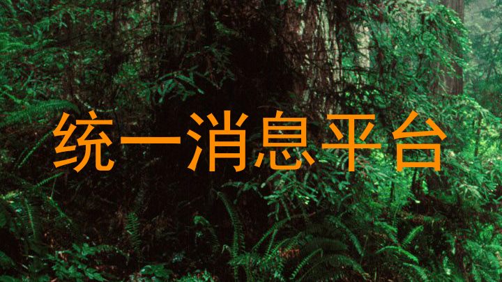 统一消息平台