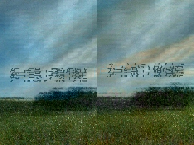 统一信息门户操作教程
