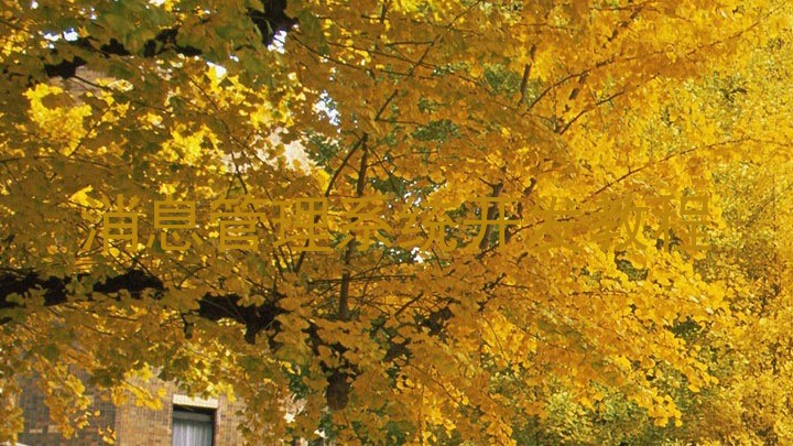 消息管理系统开发教程