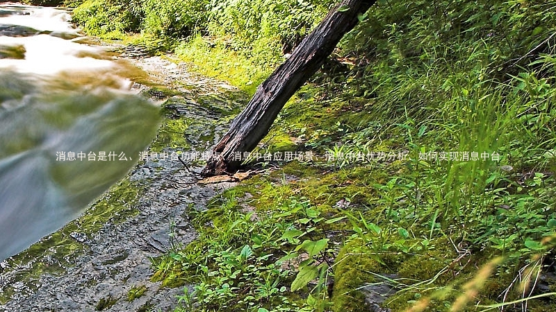 消息中台是什么、消息中台功能特点、消息中台应用场景、消息中台优势分析、如何实现消息中台