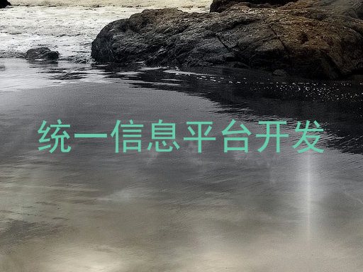 统一信息平台开发